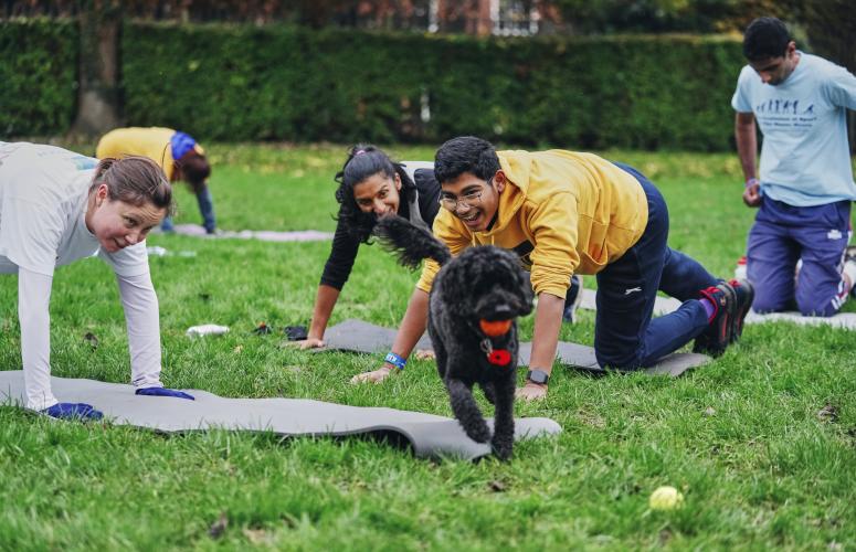People exercising in a park